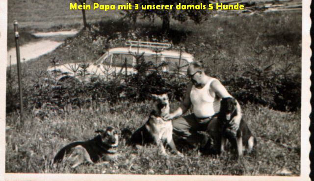 Mein Papa mit 3 unserer damals 5 Hunde
