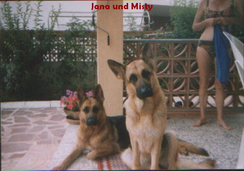 Jana und Misty